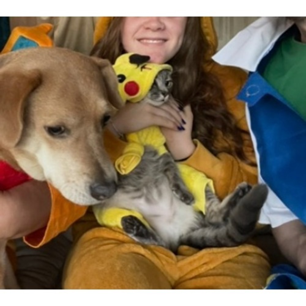 Pikachu Pet Costume Small Dog Cat Halloween Family Pokemon Costume Kawaii Anime - Picture 6 of 7